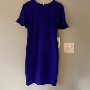 NWT Calvin Klein Flutter Sleeved Dress